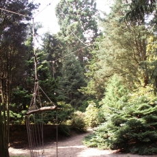 Pinetum Blijdenstein