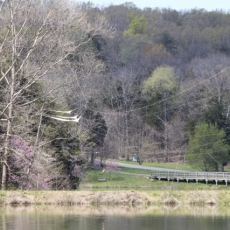 Bernheim