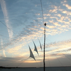 Schiermonnikoog