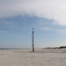 Schiermonnikoog