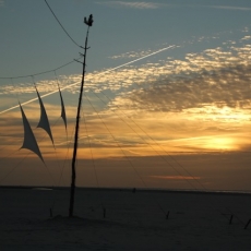 Schiermonnikoog